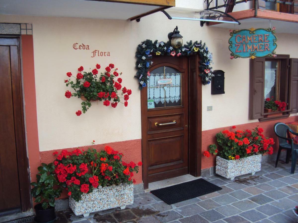 La Casa Di Beppe Appartamento E Camere Danta Buitenkant foto